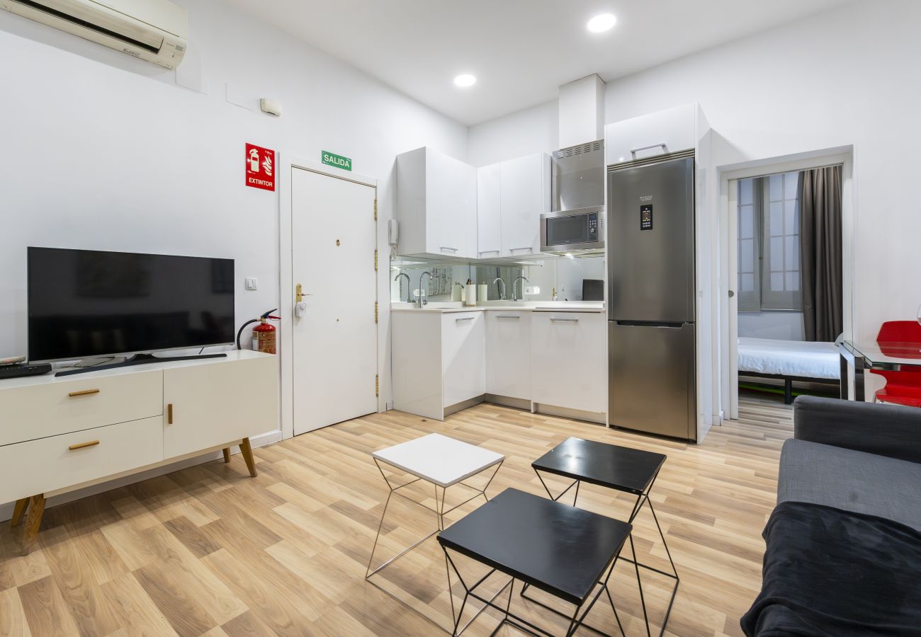 Apartamento en Madrid - M (PRE102B) Moderno diseño Madrid centro Sol 5 Apartamento en Madrid - M (PRE102B) Moderno diseño Madrid centro Sol 5