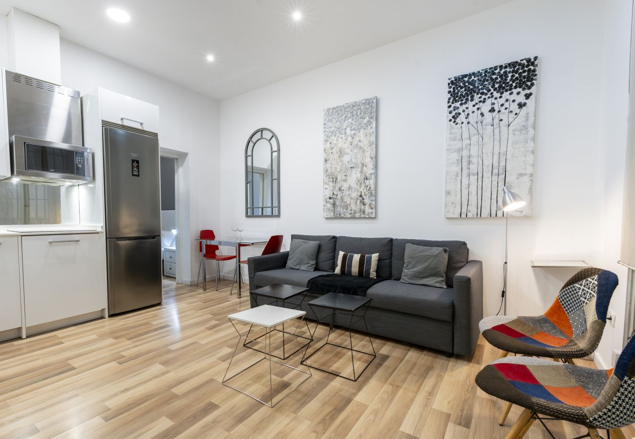 Apartamento en Madrid - M (PRE102B) Moderno diseño Madrid centro Sol 5 Apartamento en Madrid - M (PRE102B) Moderno diseño Madrid centro Sol 5