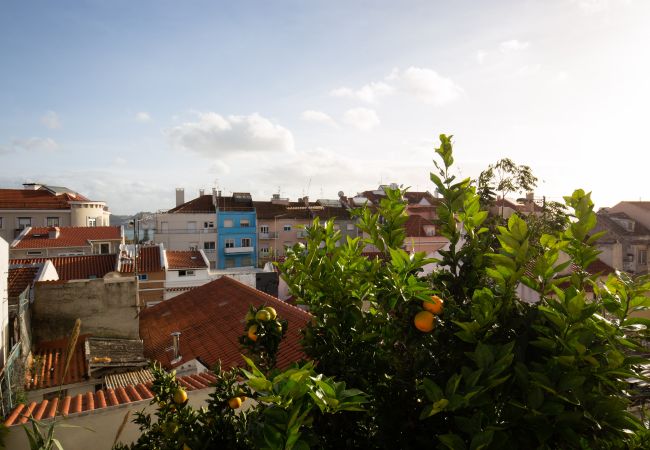 Apartamento en Lisboa ciudad - Boa Hora Apartment (C123) Apartamento en Lisboa ciudad - Boa Hora Apartment (C123)