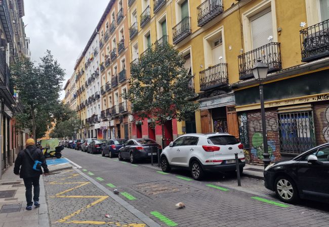 Apartamento en Madrid - M (AMP964)Piso de 2 dormitorios a pasos del Museo  Apartamento en Madrid - M (AMP964)Piso de 2 dormitorios a pasos del Museo