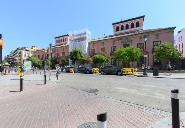 Apartamento en Madrid - M (SVF154) Piso tipo loft de 1 dormitorio en el ce Apartamento en Madrid - M (SVF154) Piso tipo loft de 1 dormitorio en el ce