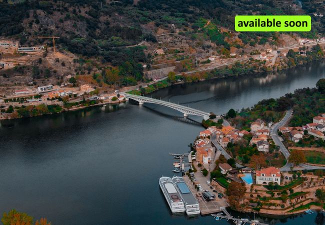 Casa rural en Cinfães - Cinfães Country Villa (N78)