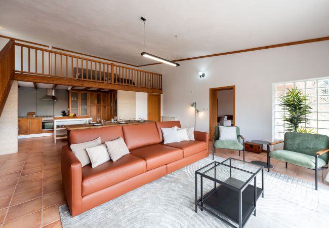 Casa rural en Cinfães - Quinta da Feitoria - Cinfães Country Villa (N78)