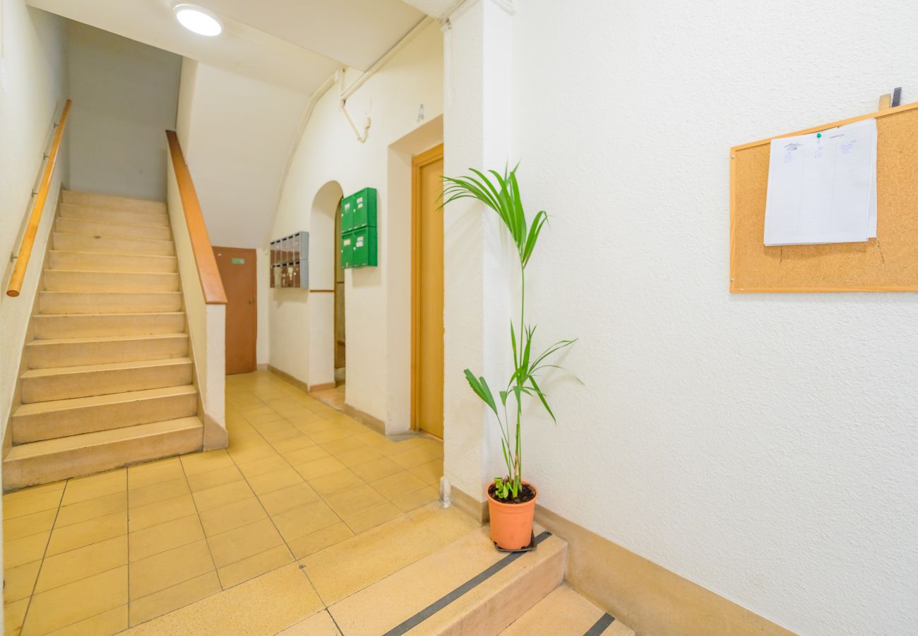 Studio à Madrid - M (ARA10) Arandano 1- Tetuan-Valdeacederas Studio à Madrid - M (ARA10) Arandano 1- Tetuan-Valdeacederas