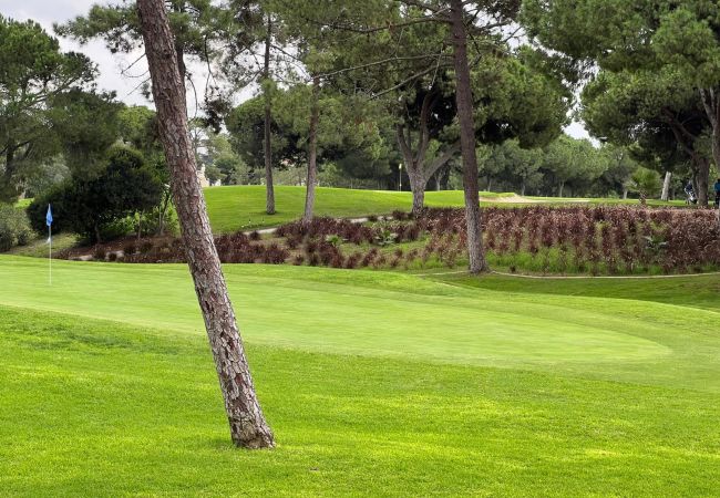 Appartement à Vilamoura - Vilamoura  Vila Sol Golf II (S49) Appartement à Vilamoura - Vilamoura  Vila Sol Golf II (S49)