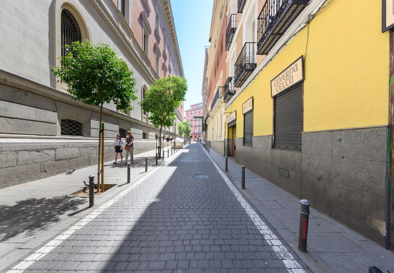 Appartement à Madrid - M (SVF154) Piso tipo loft de 1 dormitorio en el ce Appartement à Madrid - M (SVF154) Piso tipo loft de 1 dormitorio en el ce