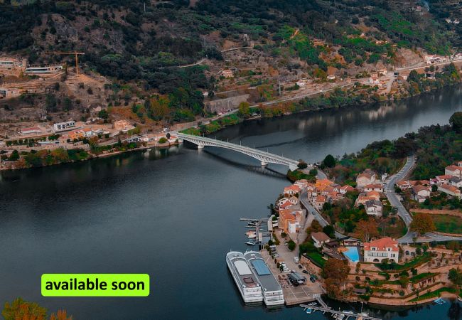 Gîte Rural à Cinfães - Cinfães Country Villa (N78)