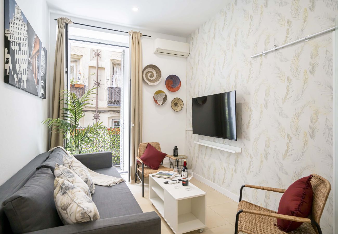 Apartamento em Madrid - M (DIN131D) Hermoso apartamento  Plaza Zerolo