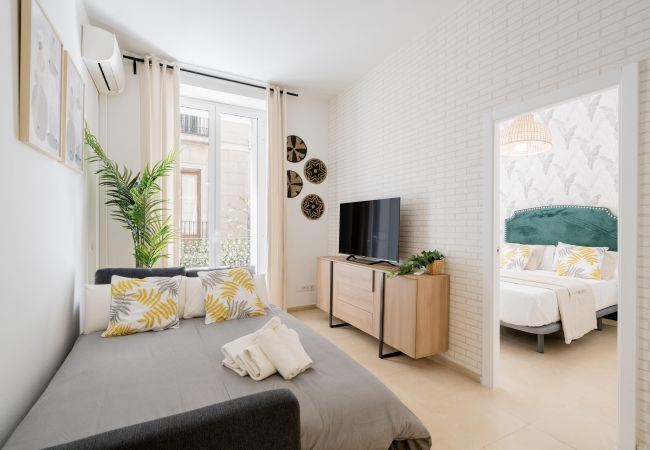 Apartamento em Madrid - M (DIN131C) Hermoso apartamento Plaza Zerolo