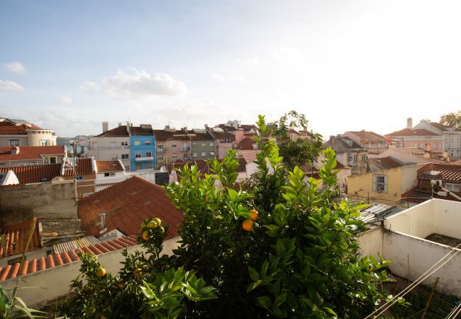 Apartamento em Lisboa - Boa Hora Apartment (C123) Apartamento em Lisboa - Boa Hora Apartment (C123)