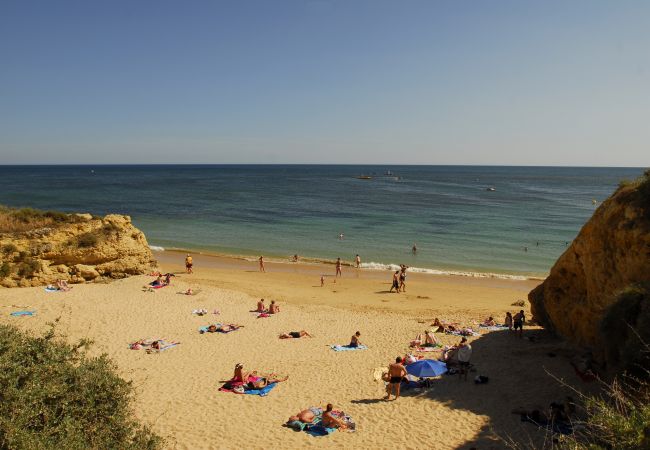 Studio in Albufeira - Oura Beach Studio I (S05) Studio in Albufeira - Oura Beach Studio I (S05)