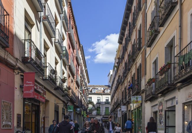 Apartment in Madrid - M (ESA81) Apto. Tribunal-Malasaña-Chueca Apartment in Madrid - M (ESA81) Apto. Tribunal-Malasaña-Chueca