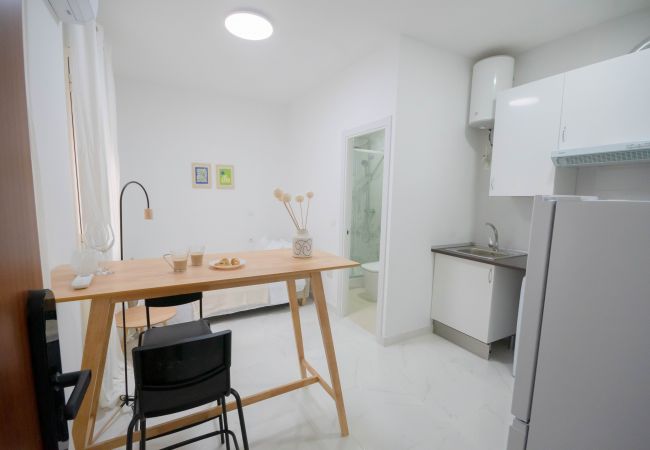 Studio in Madrid - M (MLU4B1) TETUAN "EL CENTRO" Studio in Madrid - M (MLU4B1) TETUAN "EL CENTRO"