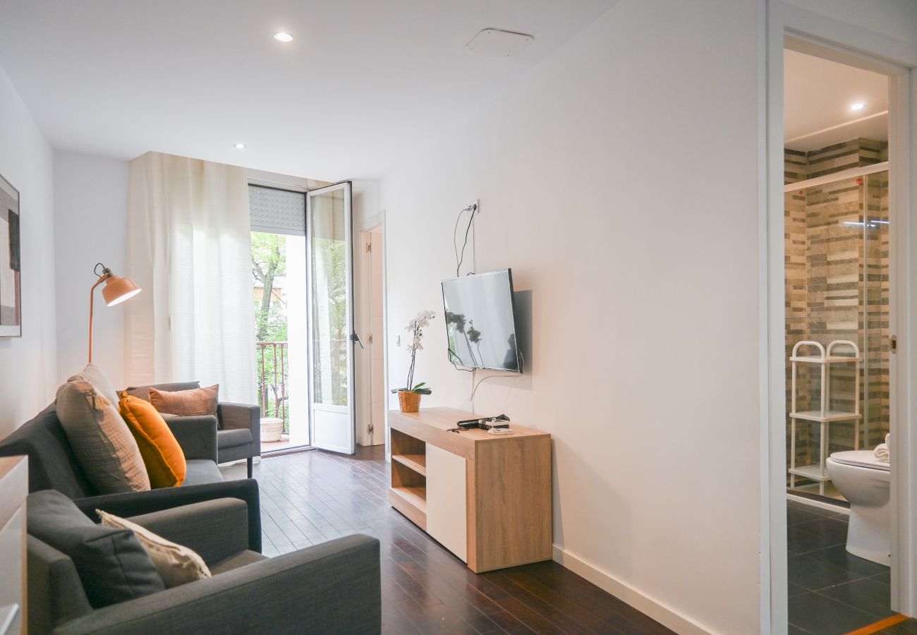 Apartment in Madrid - M (SEN1692)Amplio Apartamento con Balcón en Calle  Apartment in Madrid - M (SEN1692)Amplio Apartamento con Balcón en Calle