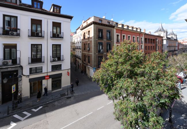 Apartment in Madrid - M (SBE282) Encanto y comodidad en el corazón de M Apartment in Madrid - M (SBE282) Encanto y comodidad en el corazón de M