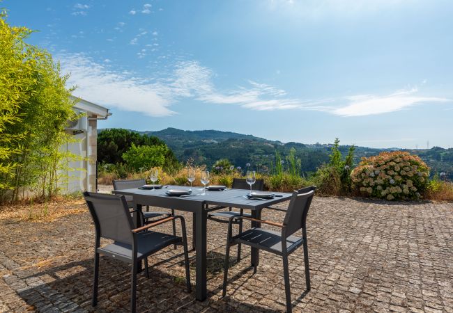 Villa in Cinfães - Quinta da Feitoria - Cinfães Country Villa II N79
